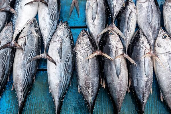 Fish and Seafood
